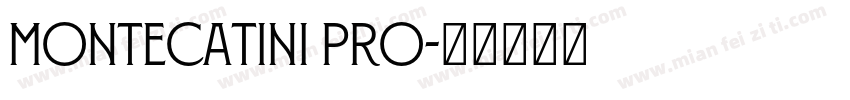 Montecatini Pro字体转换